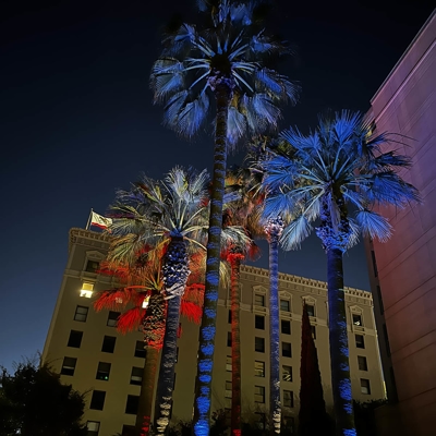 Downtown Sacramento wanted color-changing lighting on the palm trees in People&rsquo;s Park to celeb Photo